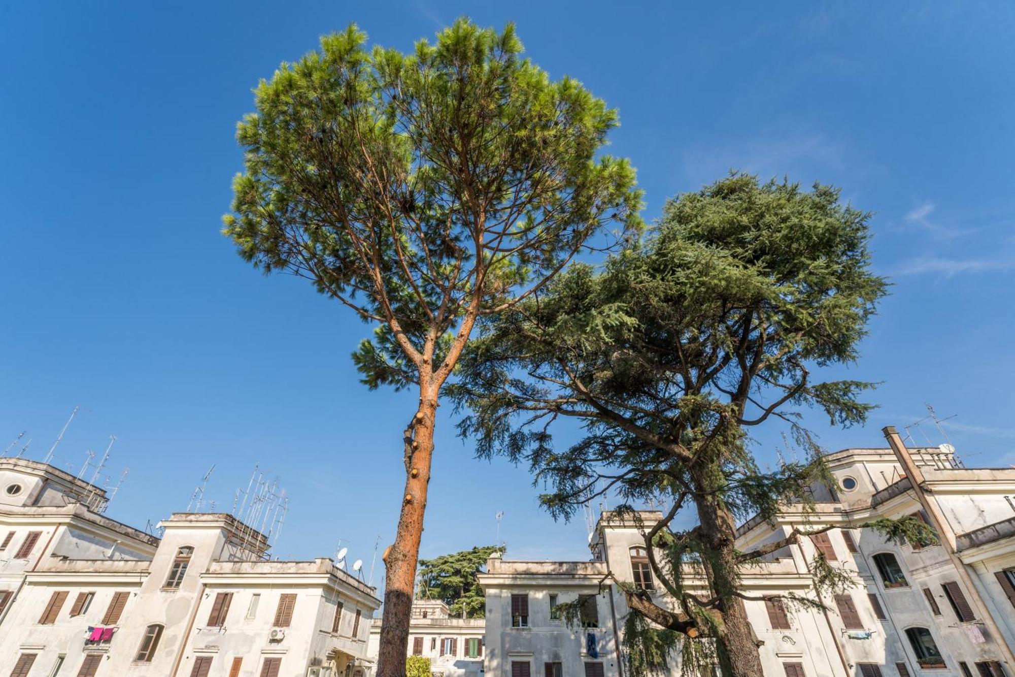 Fisher'S Apartment In Testaccio Рим Экстерьер фото